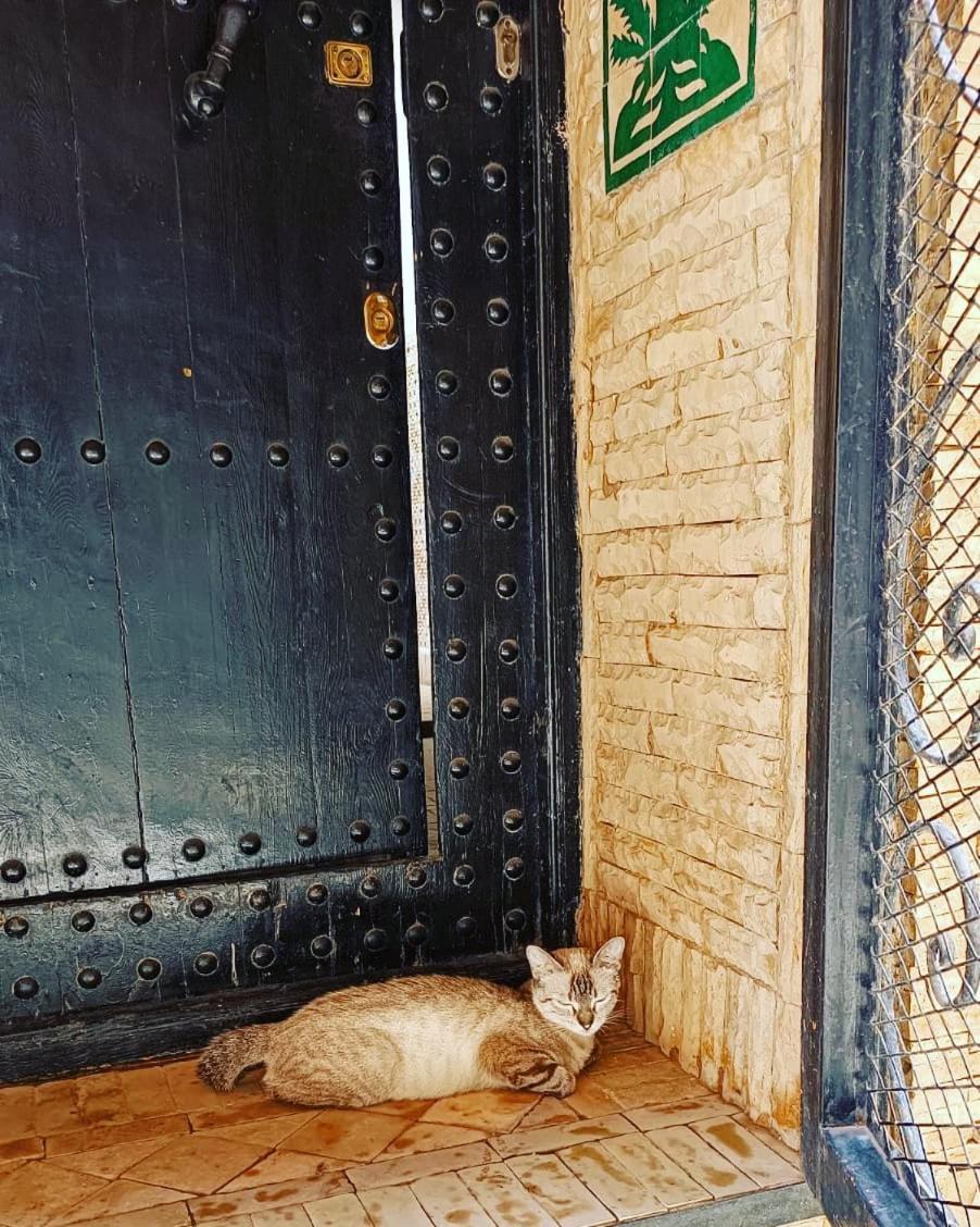 Riad Hugo Marrakesz Zewnętrze zdjęcie